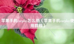 苹果手机carplay怎么用（苹果手机carplay使用教程）