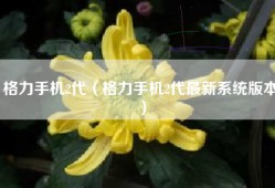 格力手机2代（格力手机2代最新系统版本）