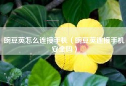 豌豆荚怎么连接手机（豌豆荚连接手机安全吗）