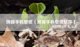 拼接手机壁纸（拼接手机壁纸软件）