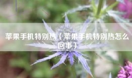 苹果手机特别热（苹果手机特别热怎么回事）