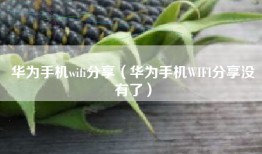 华为手机wifi分享（华为手机WIFI分享没有了）