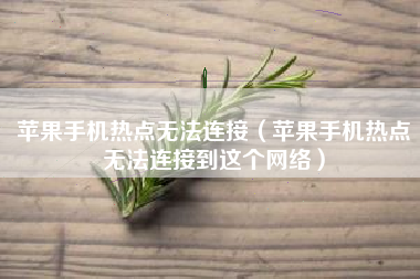 苹果手机热点无法连接（苹果手机热点无法连接到这个网络）