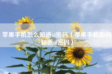 苹果手机怎么知道id密码（苹果手机如何知道id密码）