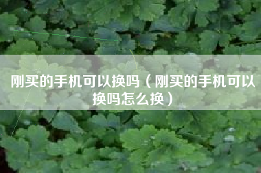 刚买的手机可以换吗（刚买的手机可以换吗怎么换）