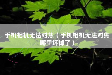 手机相机无法对焦（手机相机无法对焦哪里坏掉了）