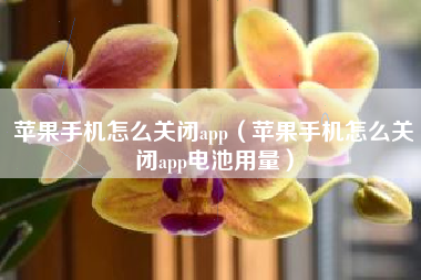 苹果手机怎么关闭app（苹果手机怎么关闭app电池用量）