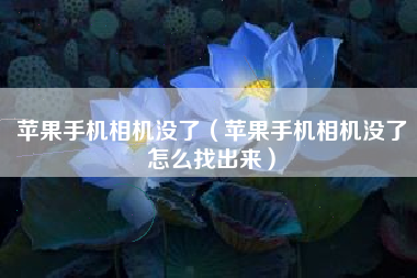 苹果手机相机没了（苹果手机相机没了怎么找出来）