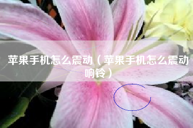 苹果手机怎么震动（苹果手机怎么震动响铃）