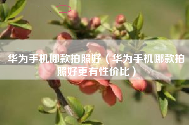 华为手机哪款拍照好（华为手机哪款拍照好更有性价比）